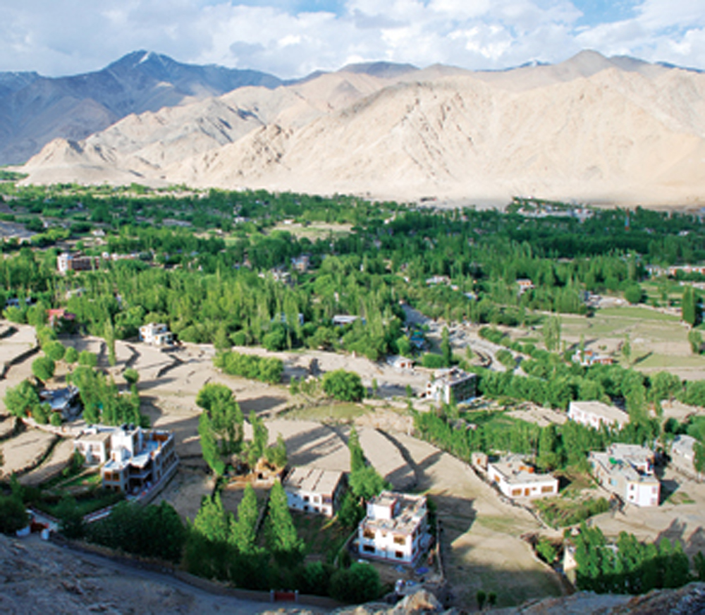 Urban Trees for Combating Climate Change